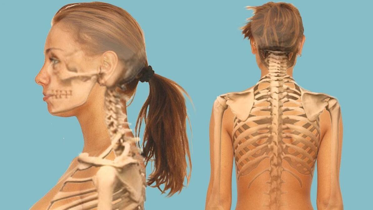 The spine of the cervix